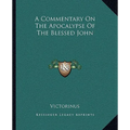 A Commentary On The Apocalypse Of The Blessed John