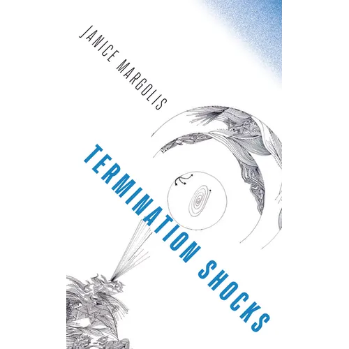 Termination Shocks