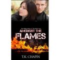 Amongst The Flames: A Christian Romance Novel