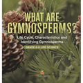 What are Gymnosperms? Life Cycle, Characteristics and Identifying Gymnosperms Grade 6-8 Life Science