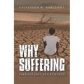 Why Sufferings: Paradise Lost and Restored