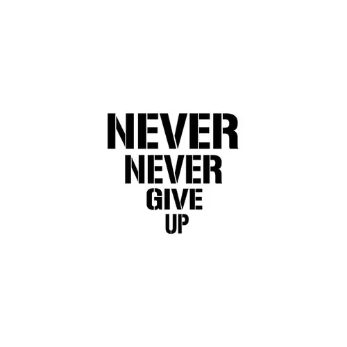 Never Never Give Up