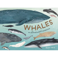 Whales: An Illustrated Celebration