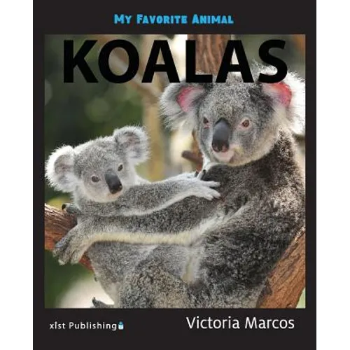 My Favorite Animal: Koalas