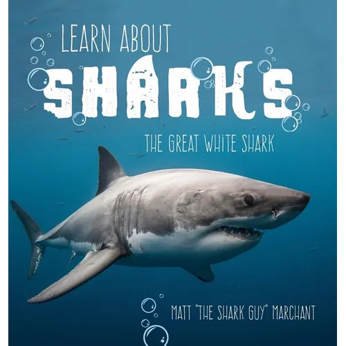 Learn About Sharks: The Great White Shark
