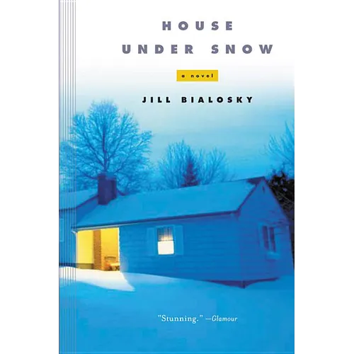 House Under Snow