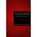 Seven Congregations in a Roman Crucible