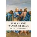 Walks and Words of Jesus