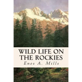 Wild Life on the Rockies