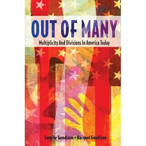 Out of Many: Multiplicity and Divisions in America Today