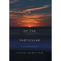 A Scandal of the Particular