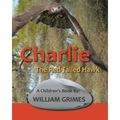 Charlie the Red-Tailed Hawk