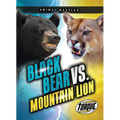 Black Bear vs. Mountain Lion