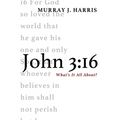 John 3:16: What's It All About?