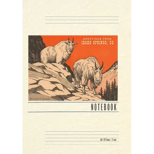 Vintage Lined Notebook Greetings from Idaho Springs, Colorado