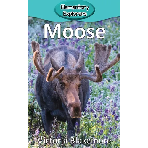 Moose