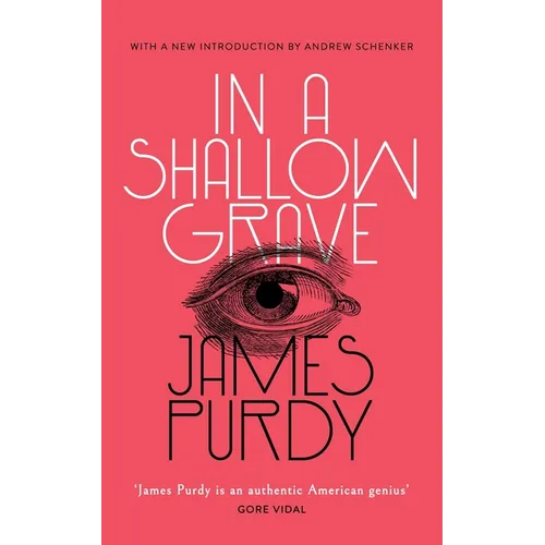 In a Shallow Grave (Valancourt 20th Century Classics)