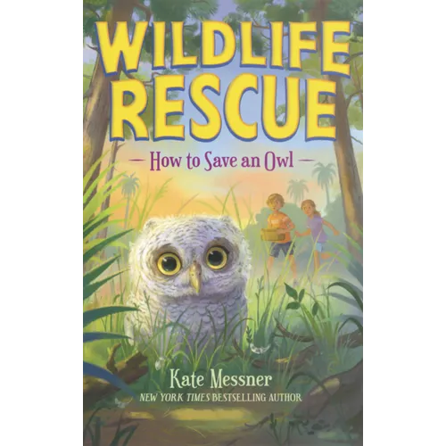 How to Save an Owl