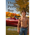 The Perfect Boy