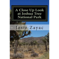 A Close Up Look at Joshua Tree National Park