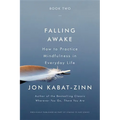 Falling Awake: How to Practice Mindfulness in Everyday Life