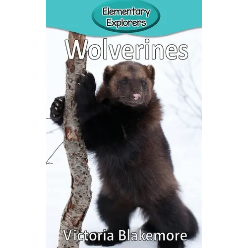 Wolverines