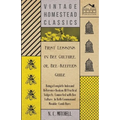 First Lessons in Bee Culture Or, Bee-Keeper's Guide - Being a Complete Index and Reference Book on All Practical Subjects Connected with Bee Culture -