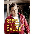 Rebel Without A Cause: Screenplay