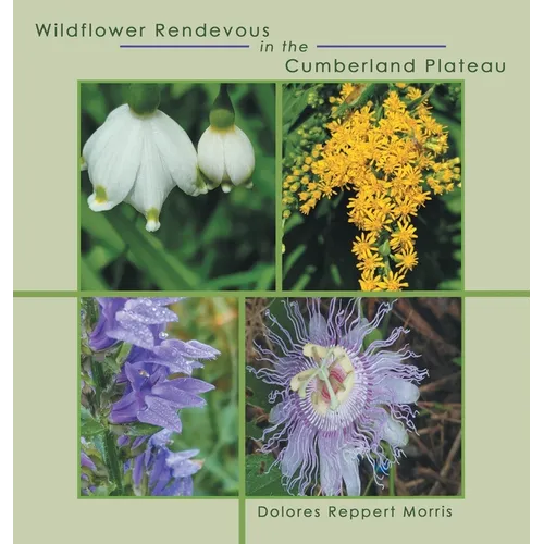 Wildflower Rendevous in the Cumberland Plateau
