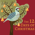 The 12 Days of Christmas
