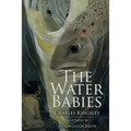The Water Babies: Illustrated