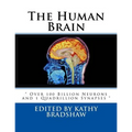 The Human Brain: " Over 100 Billion Neurons and 1 Quadrillion Synapses "