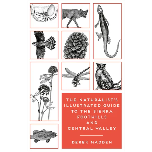 The Naturalist's Illustrated Guide to the Sierra Foothills and Central Valley