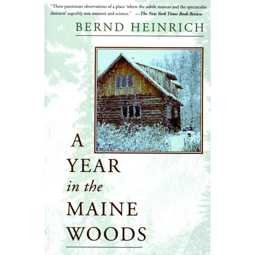 A Year in the Maine Woods