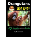 Orangutans For Kids
