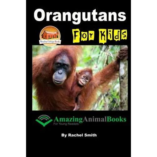 Orangutans For Kids