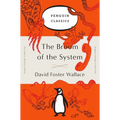 The Broom of the System