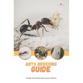 Ants breeding guide: The life and maintenance of ant colonies