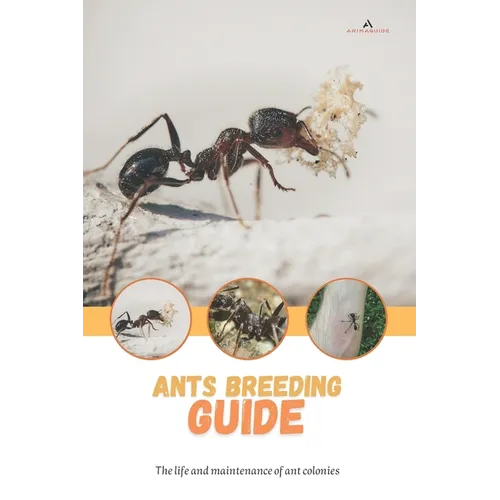 Ants breeding guide: The life and maintenance of ant colonies