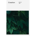 Creation