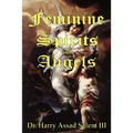 Feminine Spirits and Angels: Just as there are angels of light and darkness, so too are there angels identified as male and female.
