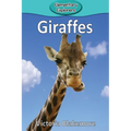 Giraffes