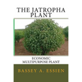 The Jatropha Plant