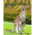 Marsupials: Amazing Pictures & Fun Facts of Animals in Nature
