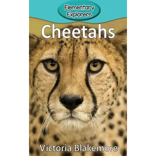 Cheetahs