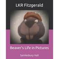 Beaver's Life in Pictures: Samlesbury Hall
