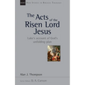 The Acts of the Risen Lord Jesus: Luke's Account of God's Unfolding Plan Volume 27