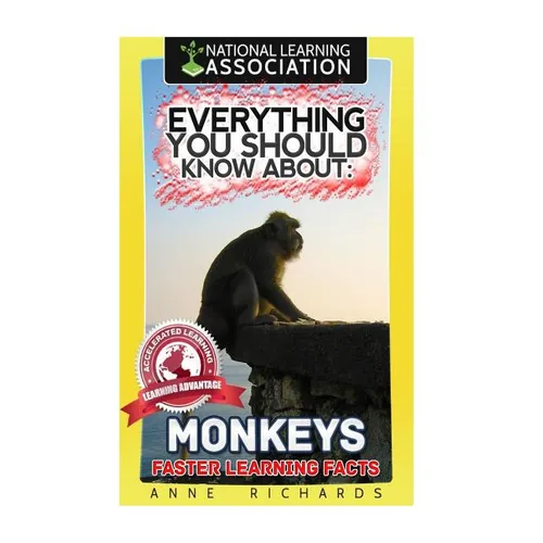Everything You Should Know About: Monkeys