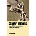 Sugar Gliders: Living with and Caring for Sugar Gliders Is This the Right Pet for You?