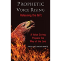 Prophetic Voice Rising: Releasing the Gift